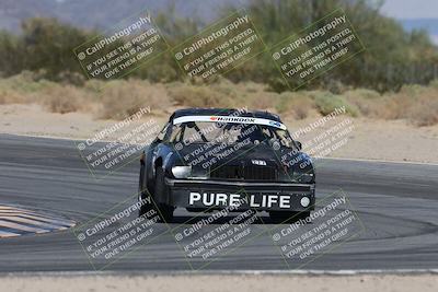 media/Oct-11-2025-Lucky Dog Racing (Sat) [[f5b53147c4]]/3-Second Stint/3-Turn 10/